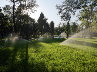 In the park, a sprinkler is watering the lawn. Automatic lawn watering on a sunny day