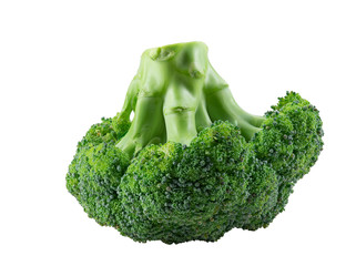 Green broccoli isolated on white background with copy space for text or images. Edible vegetable...