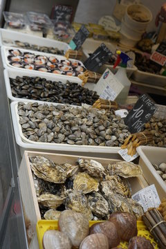 pesacados maricos y moluscos vendido en el mercado de atarazanas malaga