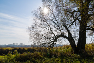 Jesień w Dolinie Górnej Narwi - Podlasie - Polska © podlaski49