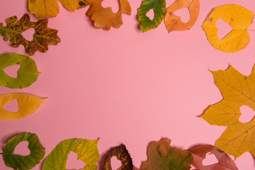 Background group autumn orange, green, yellow and brown leaves. with the heart shape cut out in the middle on pink background. Studio shoot. View from above. Horizontal orientation. Copy space