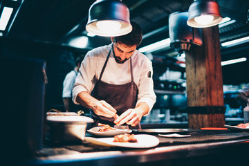 Cook serving food on a plate in the kitchen, of a restaurant