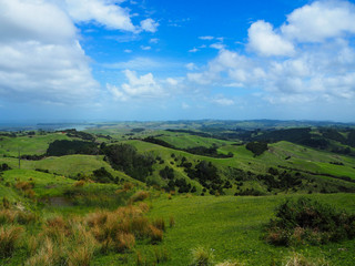 the green hills of new Zealand