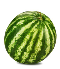Green, striped watermelon isolated on white background with copy space for text or images. Side view. Close-up shot.