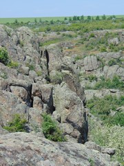 Trees and rocks in the wild by the canyon