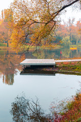 Colorful autumn park. Autumn trees with yellow leaves in the autumn park. Belgorod. Russia.