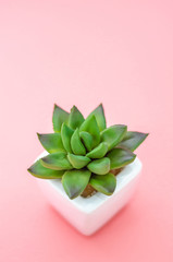 Concept object isolated from white background.