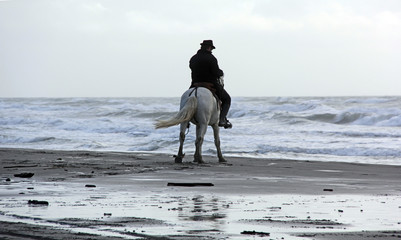 sport &eacute;questre