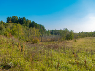 The European scenery of the hilly nature of Belarus