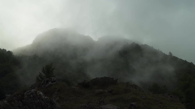 Steadicam Shot of Green vegetation on mountains or valley of Estaens, in Basque country, France. Big clouds on top, French countryside forest in 4K UHD. Hiking, foggy cloudy sky, misty fir trees.