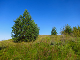 The European scenery of the hilly nature of Belarus