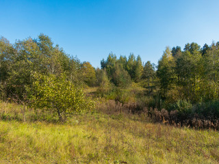 The European scenery of the hilly nature of Belarus
