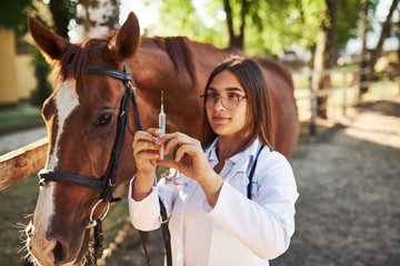Looks at syringe. Female vet examining horse outdoors at the farm at daytime