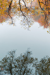 Colorful autumn park. Autumn trees with yellow leaves in the autumn park. Belgorod. Russia.