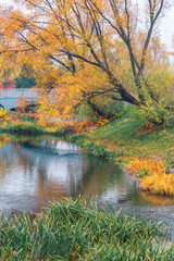Colorful autumn park. Autumn trees with yellow leaves in the autumn park. Belgorod. Russia.