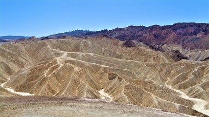 golden landscape in death valley