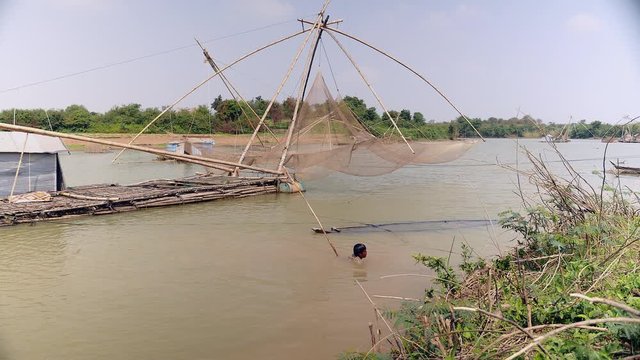  Clammer is digging for clams into the river-bottom by the riverside. Chinese fishing net in the background