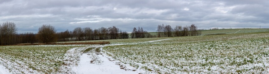 field with green grass after  fallen of first snow