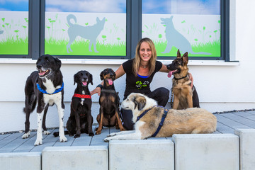Junge Frau mit fünf Hunden