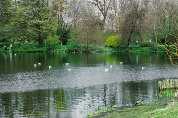Fototapeta na wymiar Old German pond in early spring