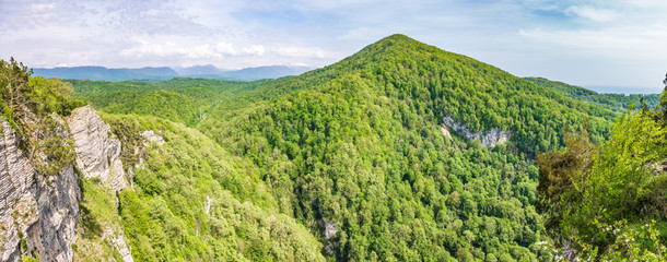 Thick green deciduous forest on the slopes of a high Hill. Cliff of limestone. Eagle Rocks, Sochi, Russia