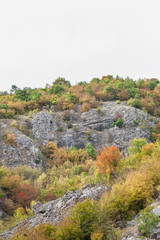 Vivid colors of the autumn trees on a rocky cliff in a canyon in Serbia, with red, green and yellow trees under a white sky