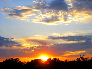 Midwestern sunset scene; treetops silhouetted against purple and gold clouds.