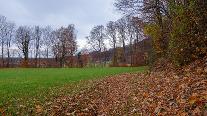 Herbstlaub