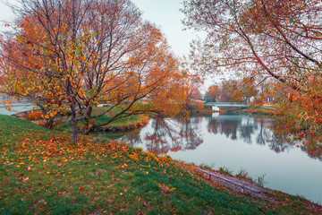 Colorful autumn park. Autumn trees with yellow leaves in the autumn park. Belgorod. Russia.