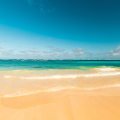 Fototapeta na wymiar Sea wave on the sand of a tropical beach in a wild turquoise bay
