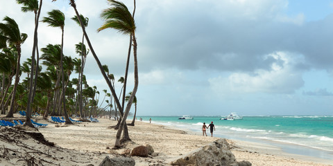 Panorama of a wild beach in the sandy bay of the blue tropical sea
