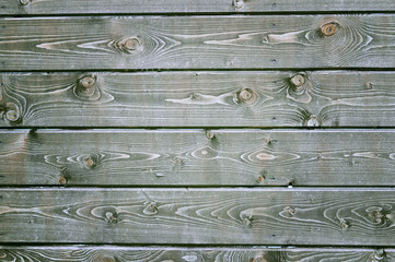 Fototapeta premium Natural background of wood with annual rings and knots