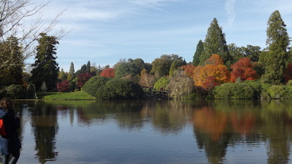 autumn landscape with lake and trees