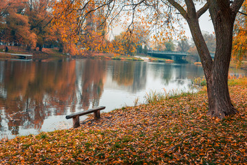 Obraz na płótnie Canvas Colorful autumn park. Autumn trees with yellow leaves in the autumn park. Belgorod. Russia.