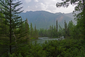 A small river in the Siberian taiga.