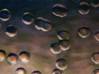 Abstraction oil paintings for sale, stock. Creative design background with textured brush strokes. Art wall decor print. Abstract handmade pattern. Contemporary original texture in high resolution.