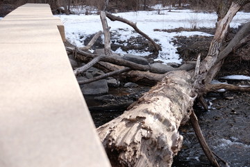 Log Jam