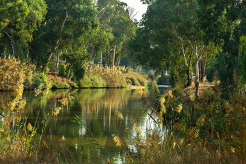 Fototapeta na wymiar Yarkon river and park background