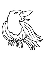 rabe lachende krähe vogel lustig witzig spaß comic cartoon clipart design glücklich frech auslachen gemein