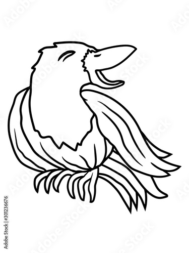 Fototapete Rabe Lachende Krahe Vogel Lustig Witzig Spass Comic Cartoon Clipart Design Glucklich Frech Auslachen Gemein Style O Mat