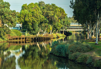 Yarkon river and  park background