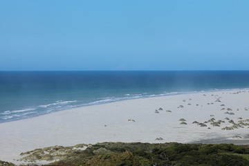 Strand Meer Küste in Neuseeland