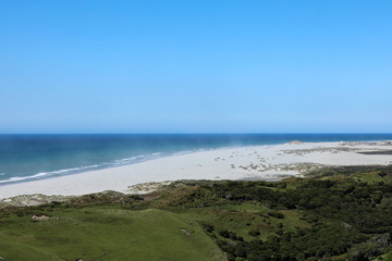 Strand Meer Küste in Neuseeland