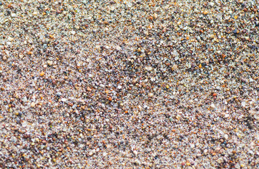 Grains of sand close-up shot.