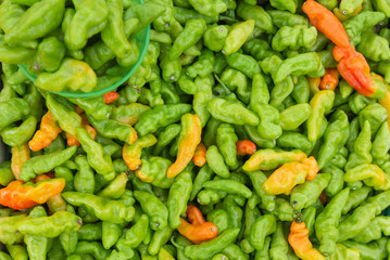 Fresh ripe green murupi pepper spread all over