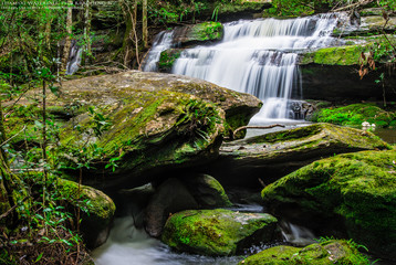 Tham yai waterfall, a beautiful waterfall in a forest filled with green trees at Phu Kradung...