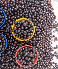 Baskets with jabuticaba. Street market with Brazilian fruit.