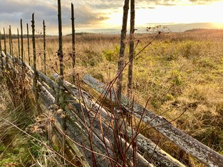 Obraz premium wooden fence in the field