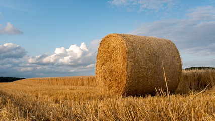 Close up of a hay bale on the field