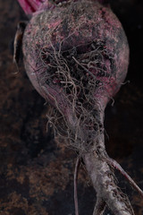 ugly food. beet roots on a rusty beautiful metal surface.